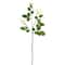 12 Pack: Ivory Sweetheart Rose Spray by Ashland®